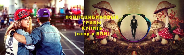 меф Алексин